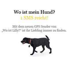 GPS Halsband für Hunde. Orten Sie Ihren Hund jederzeit und metergenau. Hier im Shop!