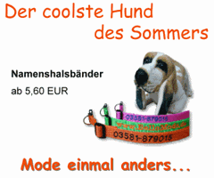 hund