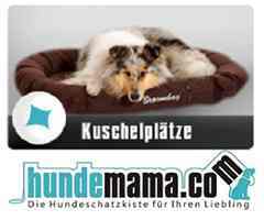 tolle Artikel aus dem Hundebereich, wir führen schicke Halsbänder von den Firmen Hartman and Rose, Dogma, Karlie und Greyhound. Ausgefallene Spielsachen,leckere Snacks,Hundemäntel vom divseren Firmen und Kräuter von der Firma Vettherm. Gerne bestellen wir für unsere Kunden einen Artikel bei unseren Lieferanten, der vielleicht nicht in unserem Shop vorhanden ist.