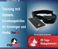 Hund