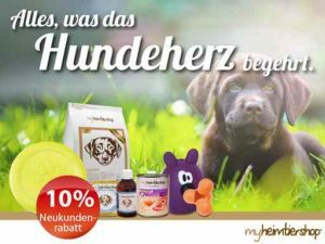 Hundefutter günstig online bestellen