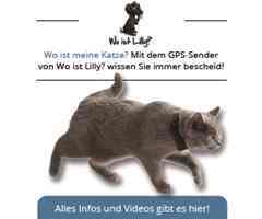 Nie wieder vermisste Tiere. Jetzt den GPS Sender für Hunde und Katzen bestellen!