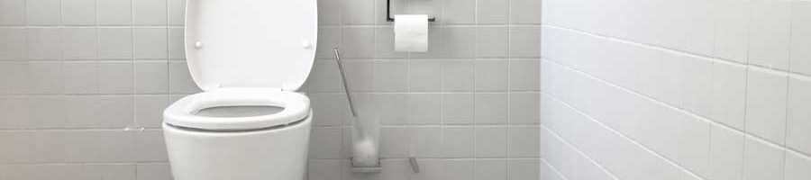 Komfortabel und hygienisch: WC-Sitze mit Absenkautomatik